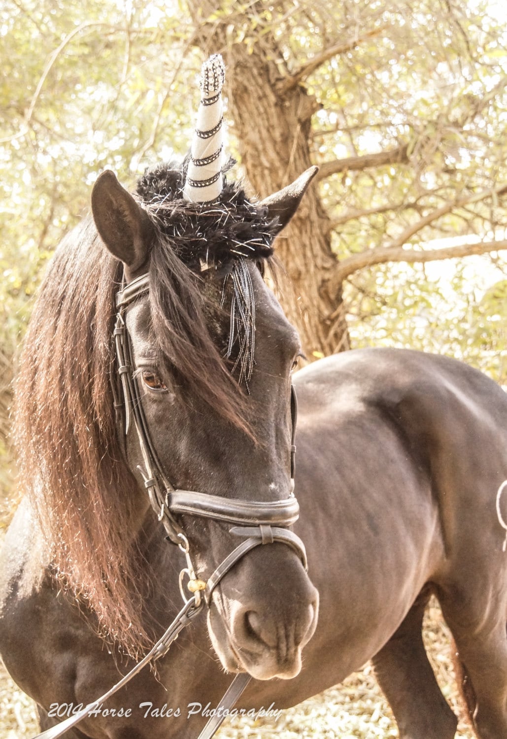 Unicorn Horn Costume for Real Live Horse includes Tail piece
