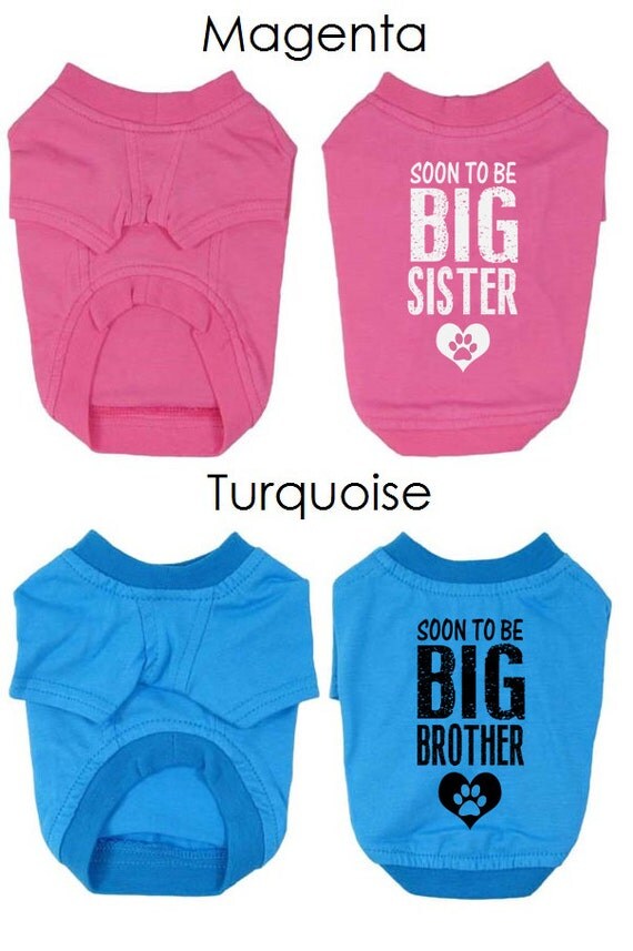 Two Dog TShirts. Custom Dog Clothing. Big Sister & Big
