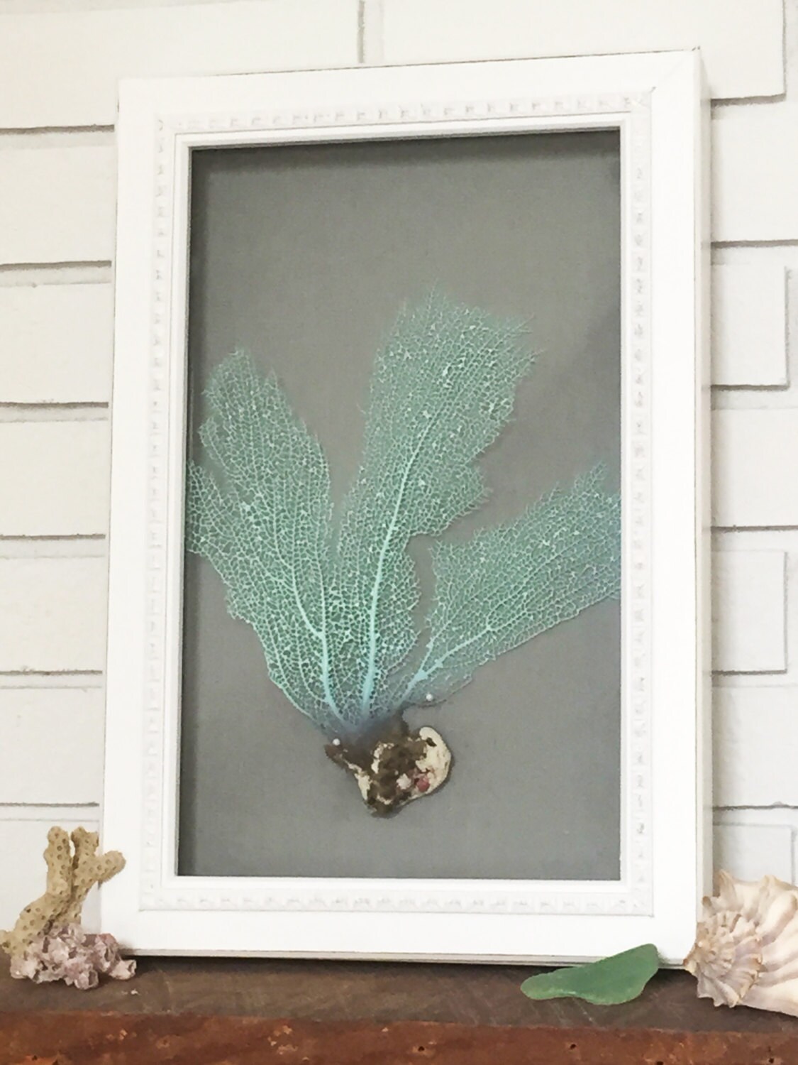 Framed Mint Green SEA FAN 12 x 15 Shadow Box by GLASSHOUSEmermaid