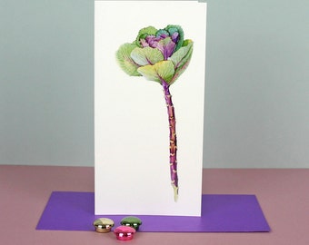 Botanical Greetings Card 'Ornamental Cabbage'