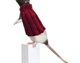 Pet Rat Sweater Cozy Unique Extra Stretchy One-Size-Fits-Most Rodents Clothes Accessories