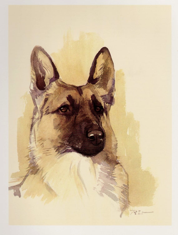 German Shepherd Dog Print Vintage Dog Art Cottage Home Decor