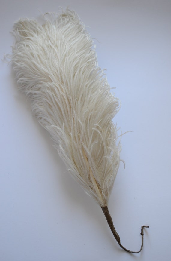 cream hat feathers