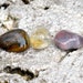 GEMINI Set of 3 Crystals | Botswana Agate, Citrine, Tiger Eye | Tumbled Gemstones Astrology, Zodiac Signs, Meditation, May June Birthday
