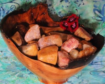1 AGATIZED CORAL Tumbled Stone - Agatized Coral Crystal, Tumbled Agatized Coral, Agatized Coral Gemstone, Agatized Coral Fossil