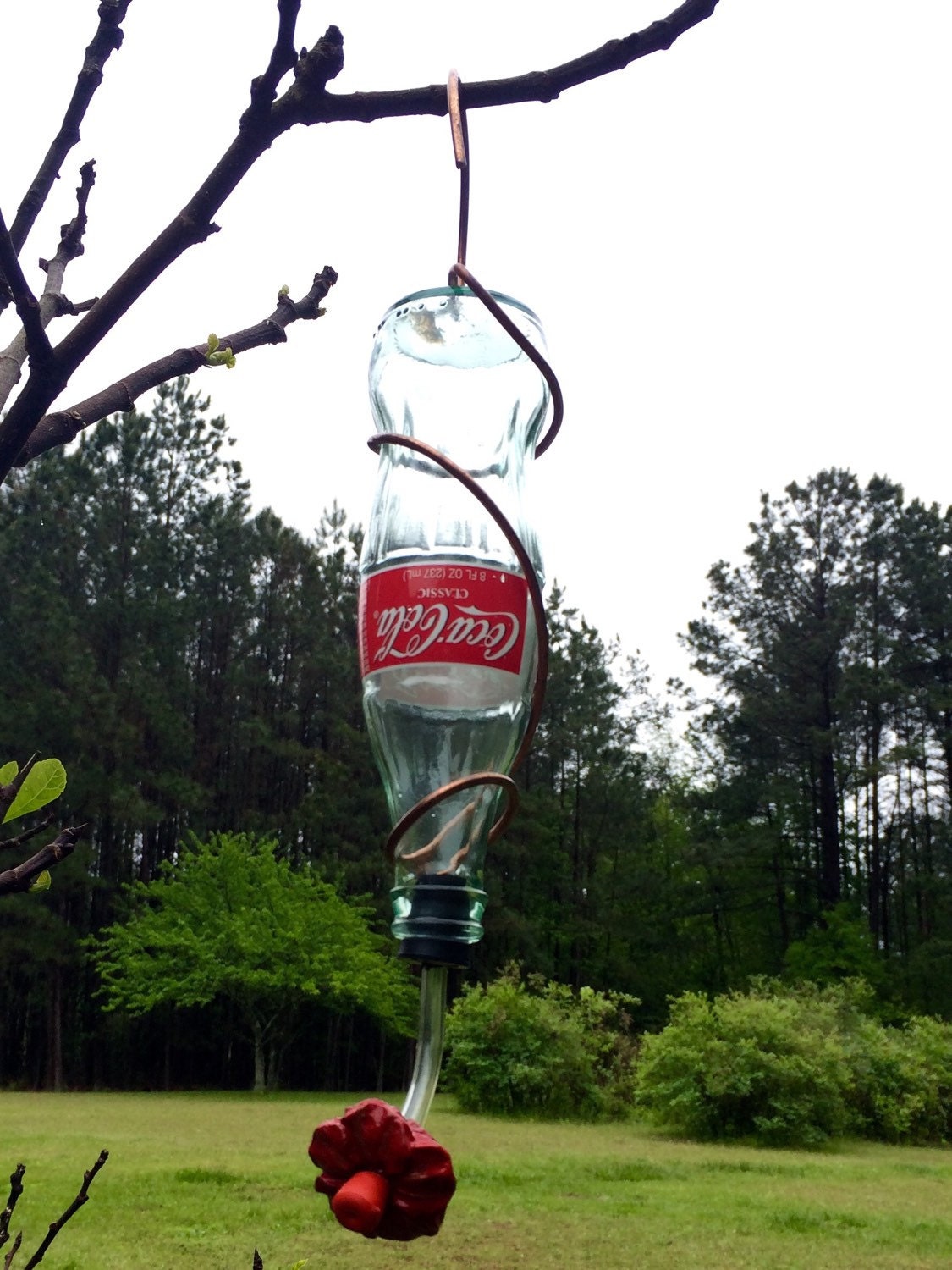 CocaCola HUMMINGBIRD Feeder Coke/Soda Bottle Glass Bottle