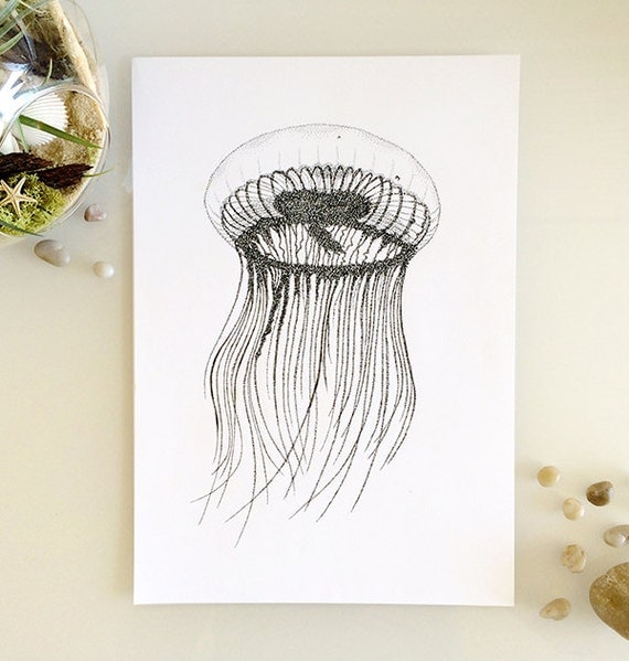 Line Art Etsy : Items similar to jellyfish print a or line