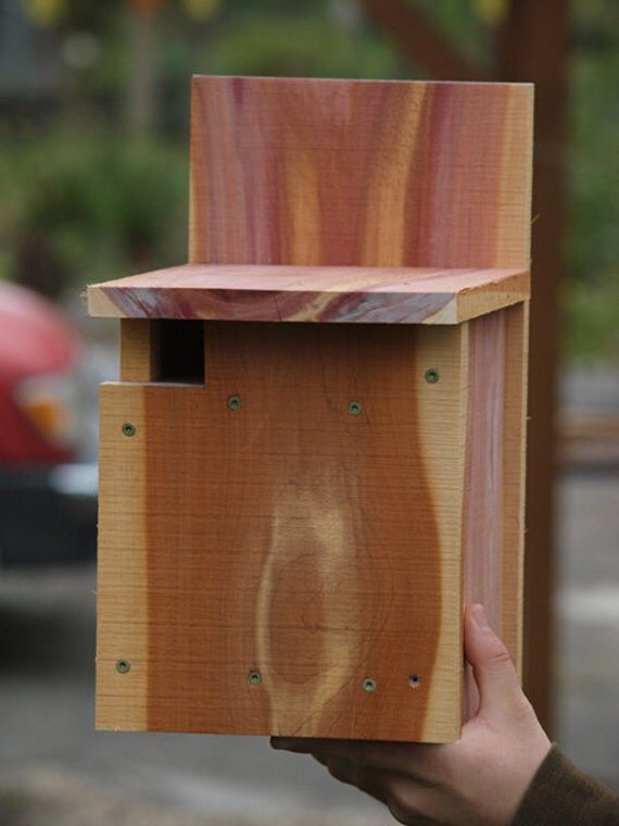 Flying Squirrel Nest Box by CreateHabitat on Etsy
