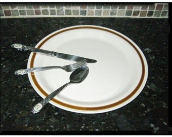 VINTAGE 1980s Old Brook Collection Stoneware "STONECASTLE" Speckles & Stripe Trim 12" Serving Plate, Oven to Table Dishwasher/Microwave Safe