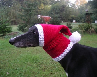 Greyhound & Galgo Santa Hat