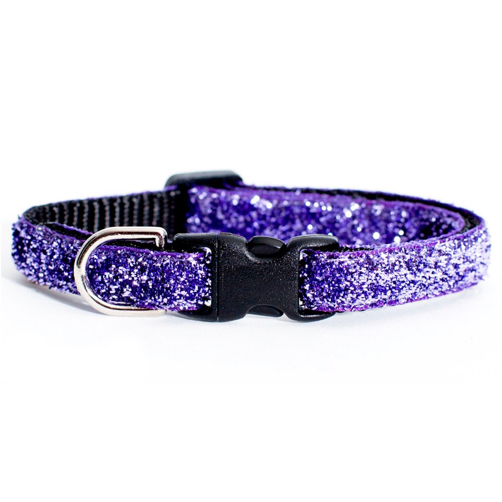 Cat Collar The Purrrfectly Purple Purple