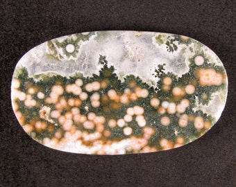 Ocean Jasper Medallion Cab / Cabochon ETOJ340