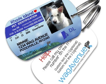 Rhode Island Driver's License Pet Tag - Personalized Pet Tag, Stainless Steel Pet Tag, Dog License ID, Dog License Tags, Dog ID Tag