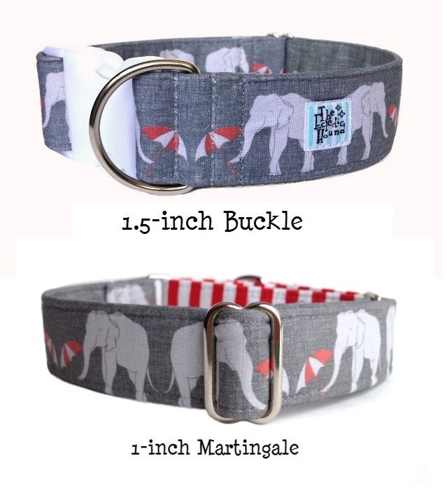 Umbrellas for Elephants Dog Collar Adjustable Martingale or