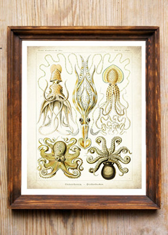 Octopus Print Art Nouveau Print Nautical Art by TinyDragonDesigns