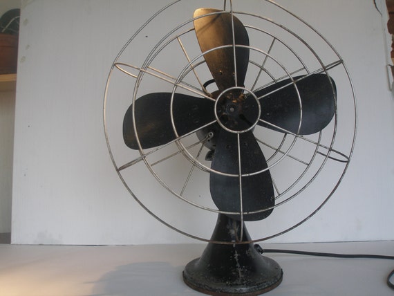 Fan