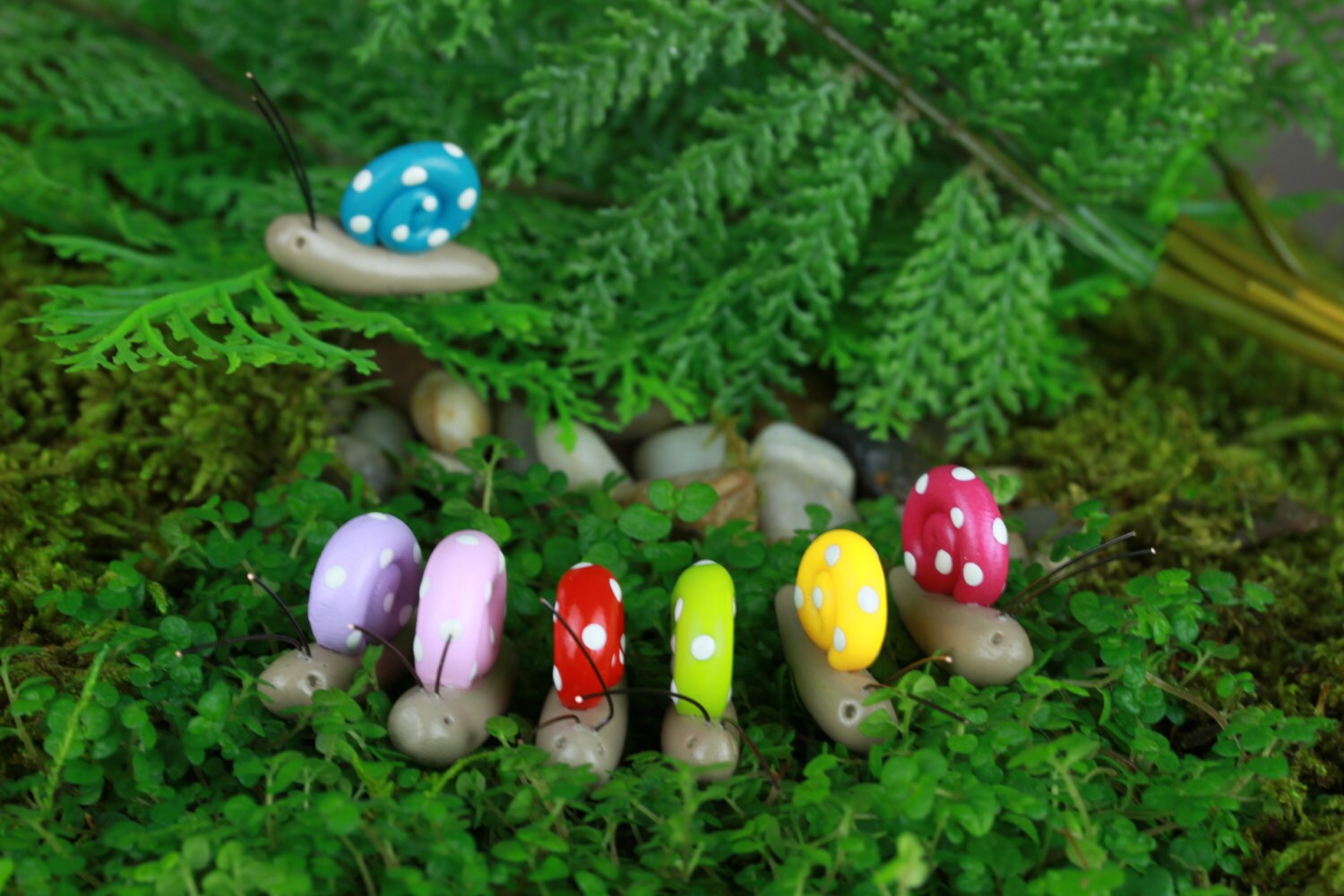 Fairy Garden Snail accessory for terrarium choice of color