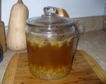 Dehydrated Water Kefir Grains 1/2 oz + Free Starter Sugar Blend + Instructions