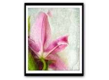 Instant Download Photography, Pink Stargazer Lily, Nature Photography ...