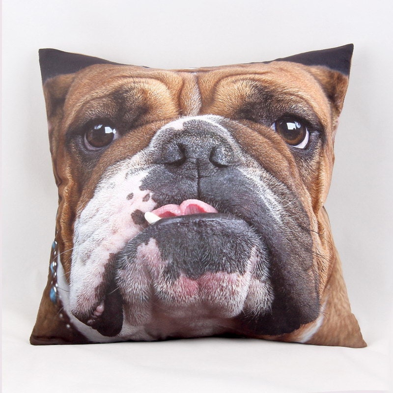 bulldog cushion