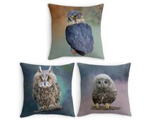 Owl Bird Of Prey Throw Pillow Bird Scatter Cushion 16x16 Pillow Owl Bird Of Prey Throw Pillow Bird Scatter Cushion 16x16 Pillow