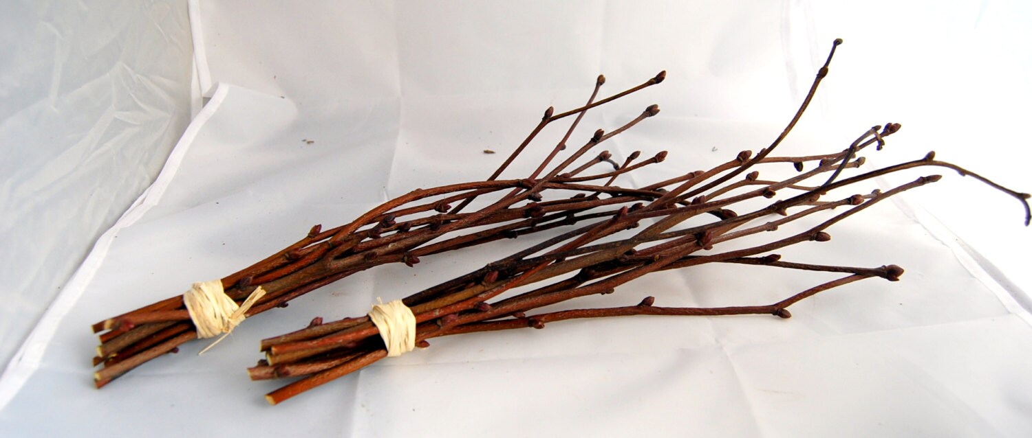 Twigs for decor or craft projects2 bunches of dry twigs for