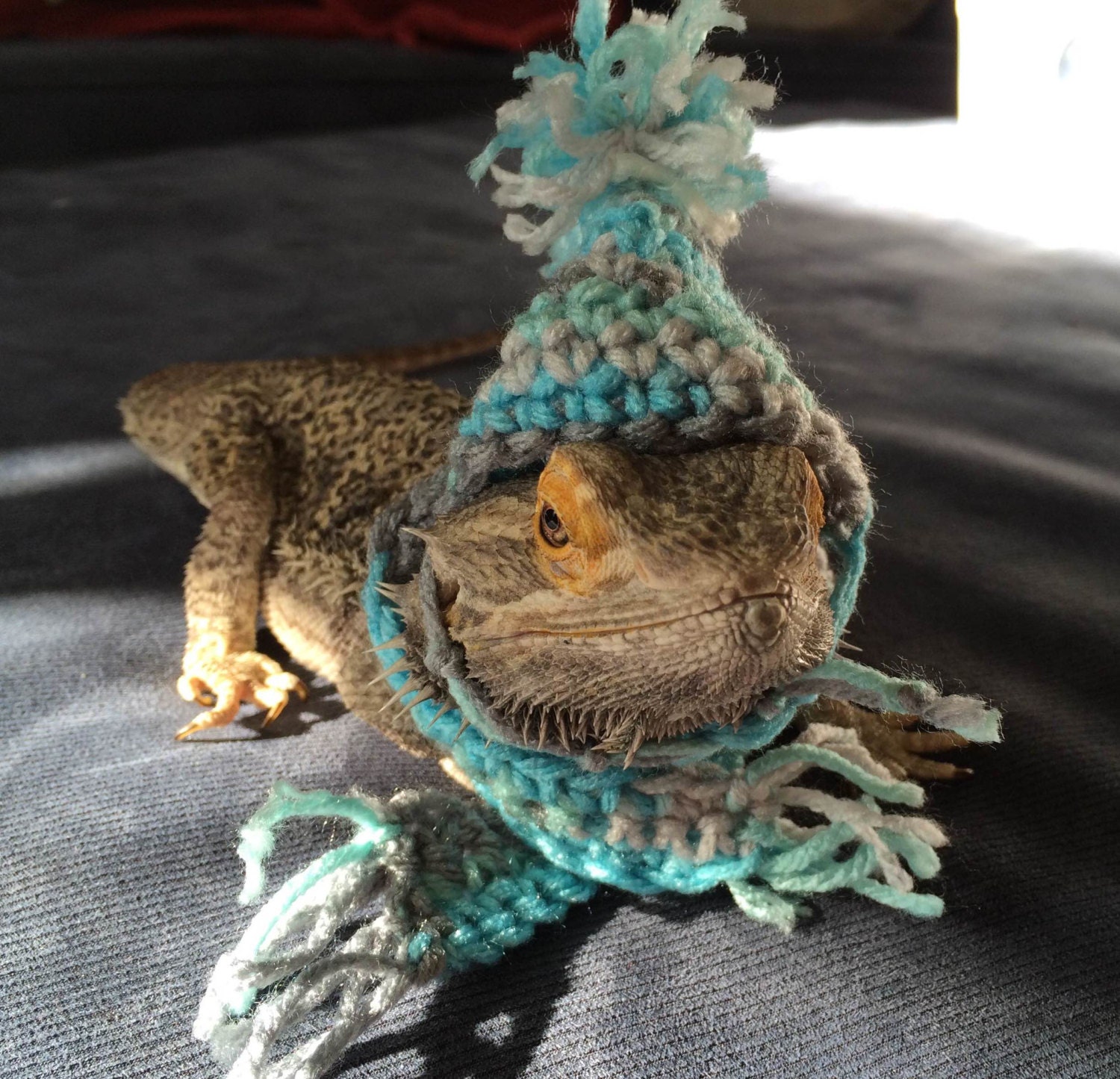 Crocheted Beanie Hat and Scarf for Bearded Dragons! One size, multiple