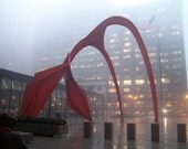 Flamingo In the Fog (PHOTO INSTANT DOWNLOAD) by Mike Kraus Flamingo In the Fog (PHOTO INSTANT DOWNLOAD) by Mike Kraus
