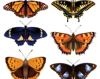 Set of 6 butterflies - Temporary tattoos