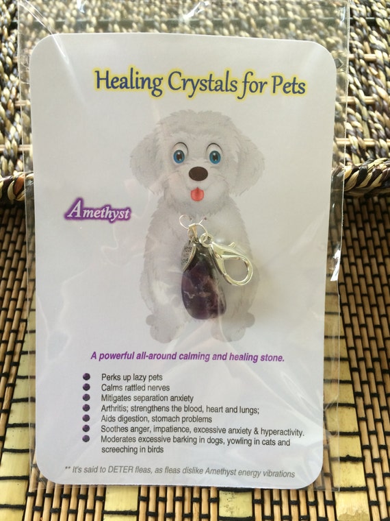 AMETHYST Healing Crystal Pet Charm Healing Pet Charm