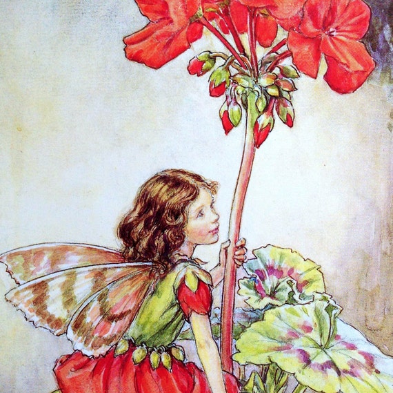 1930s Geranium Fairy And The Canterbury Bell Fairy Cicely Mary