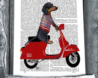 Dachshund On Moped - Dachshund print, doxie print Dachshund illustration Dachshund picture doxie decor gift for doxie lover Digital Painting