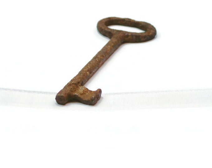 Large antique key/Large Antique Skeleton Key - Vintage Hardware/gate key/skeleton key from 1900
