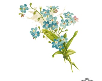 Vintage Forget me knot floral Illustration tattoo Body Art, Wickedly Lovely Skin Art Temporary tattoo (includes two tatoos)