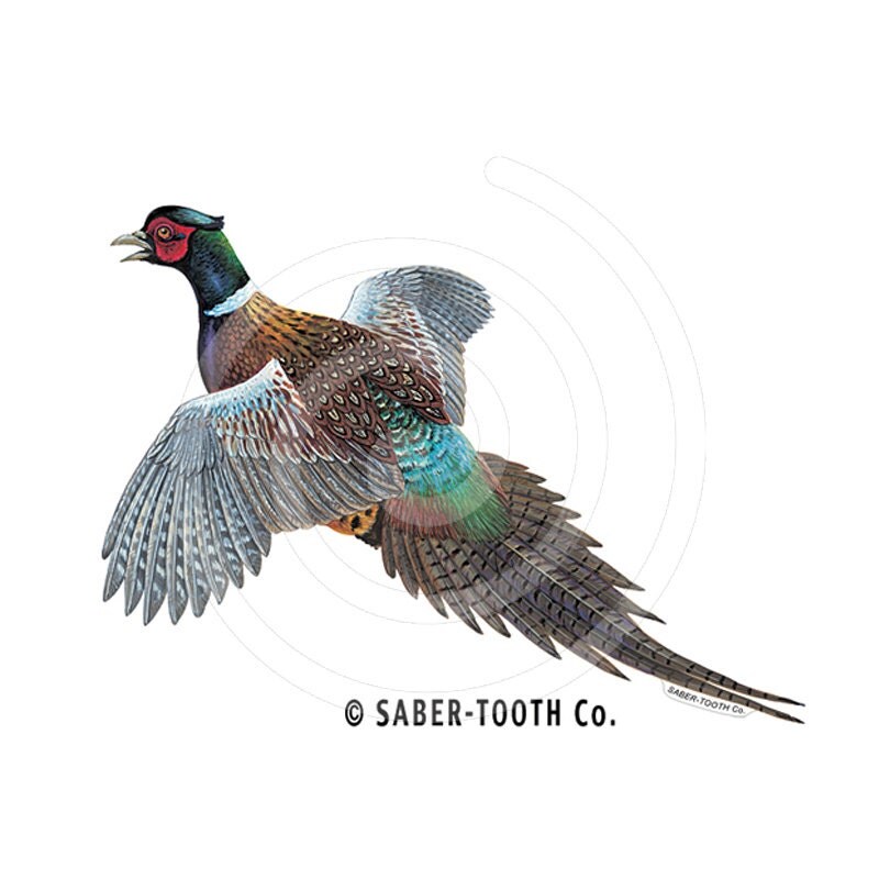 Pheasant Bird Decal Sticker