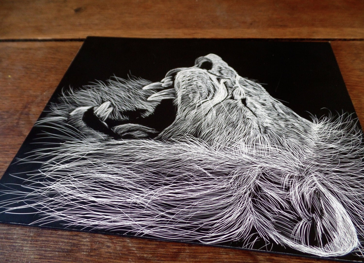 Lion Scratch Board Scratchboard Art Scratchboard by annasagearts