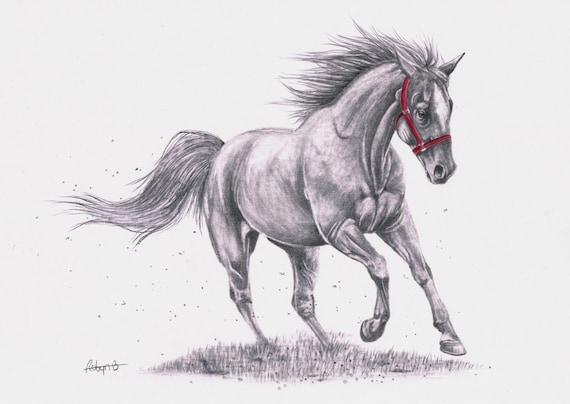 Items similar to original graphite pencil drawing horse horse running 