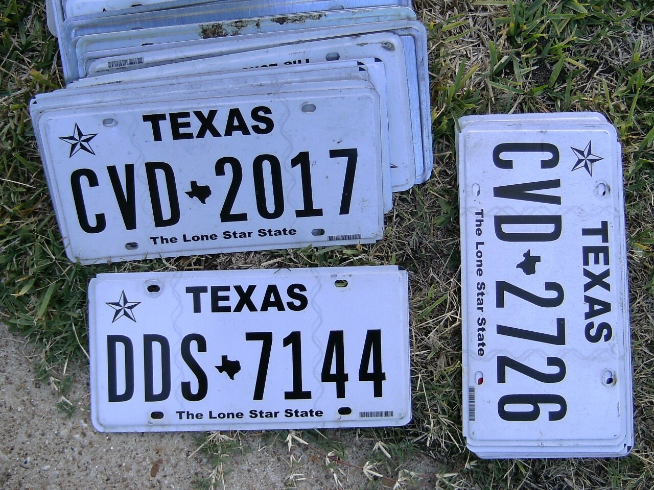 HUGE Used/Expired Texas License PLATE lot 120 Total for