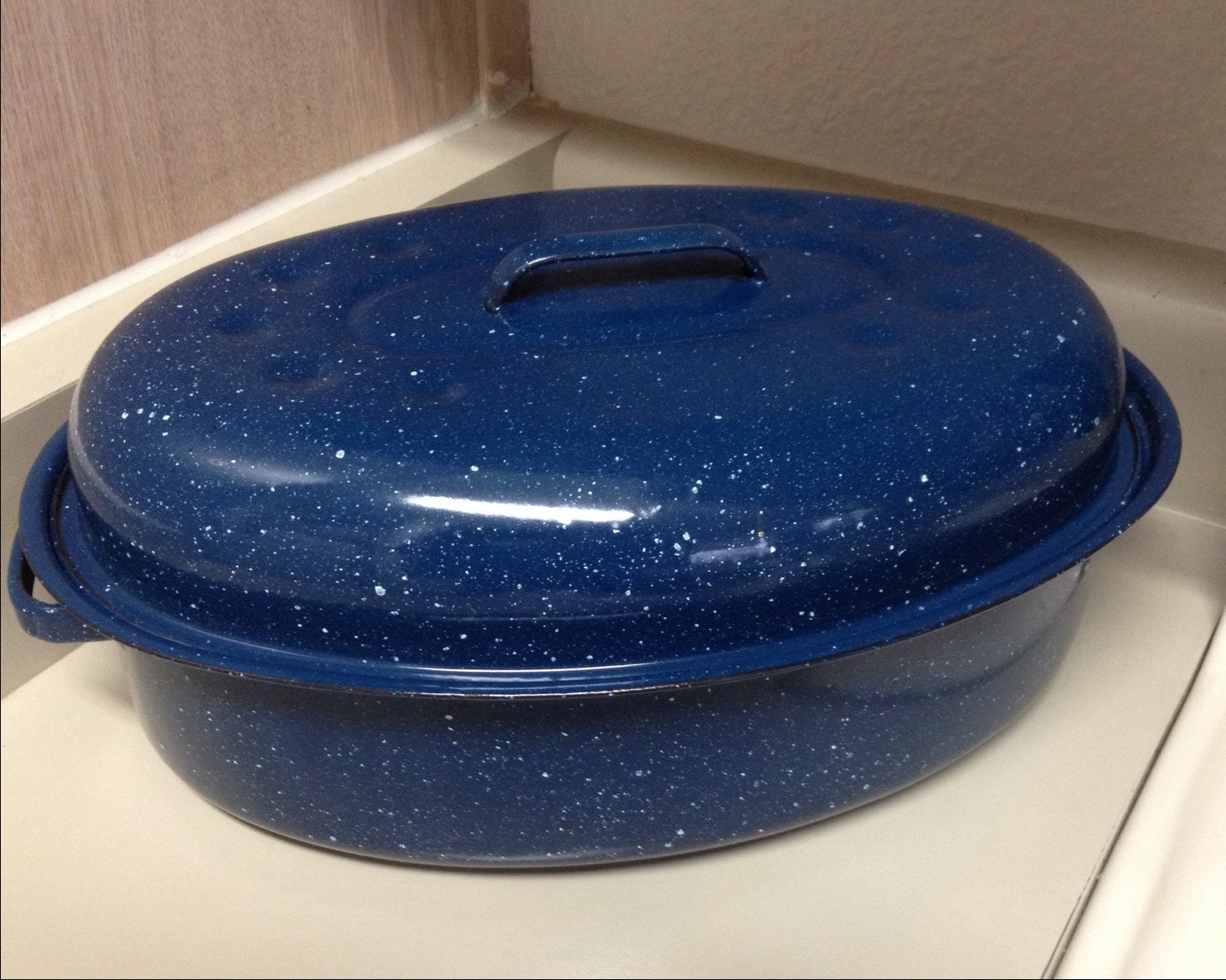 Blue Graniteware Enameled Roaster 9x13 Roast Pot by RetroBoysAZ