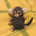 minimarmoset