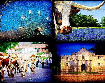 Texas Photography Texas State Fair Dallas Photos Fair Park