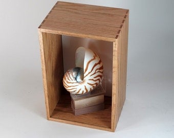 Shadow Box, Display Case, Tabletop Display, Wall Mount or Desktop