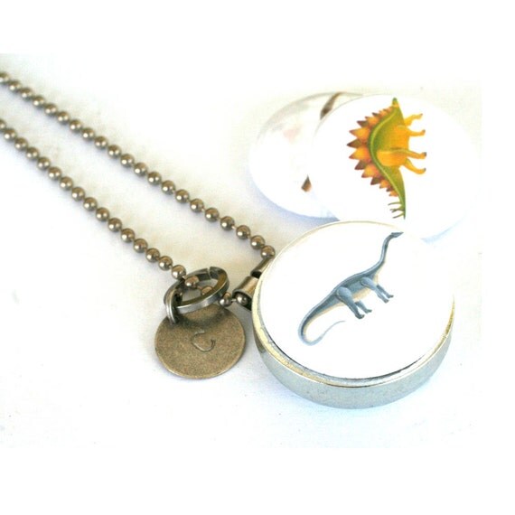 Dinosaur Necklace Dinosaur Locket Boy Jewelry Girls Love