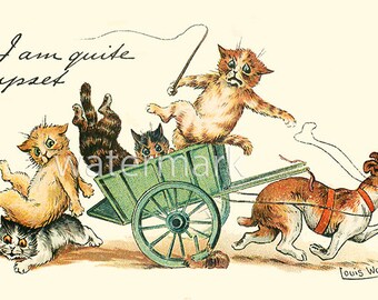 Sites de chat intellectuel
