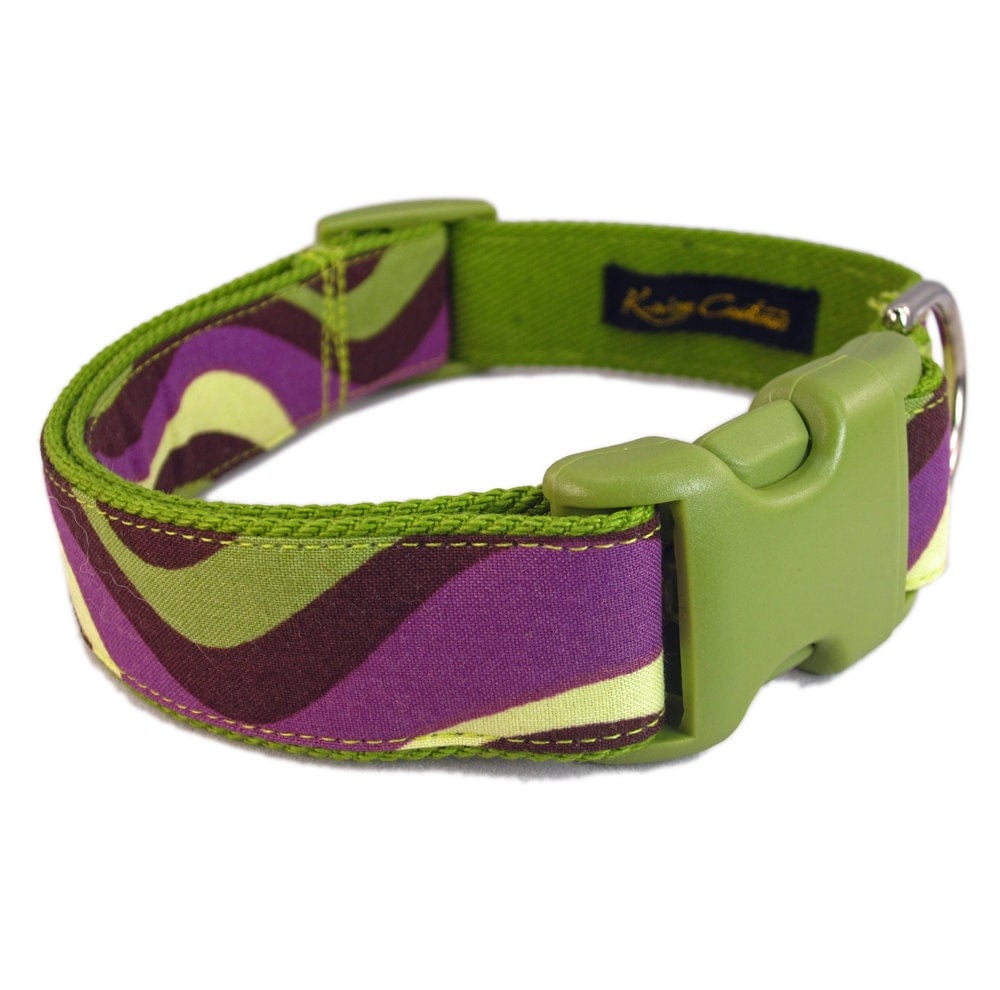 Purple Dog Collar Collar with Green Stripe Colorful Dog