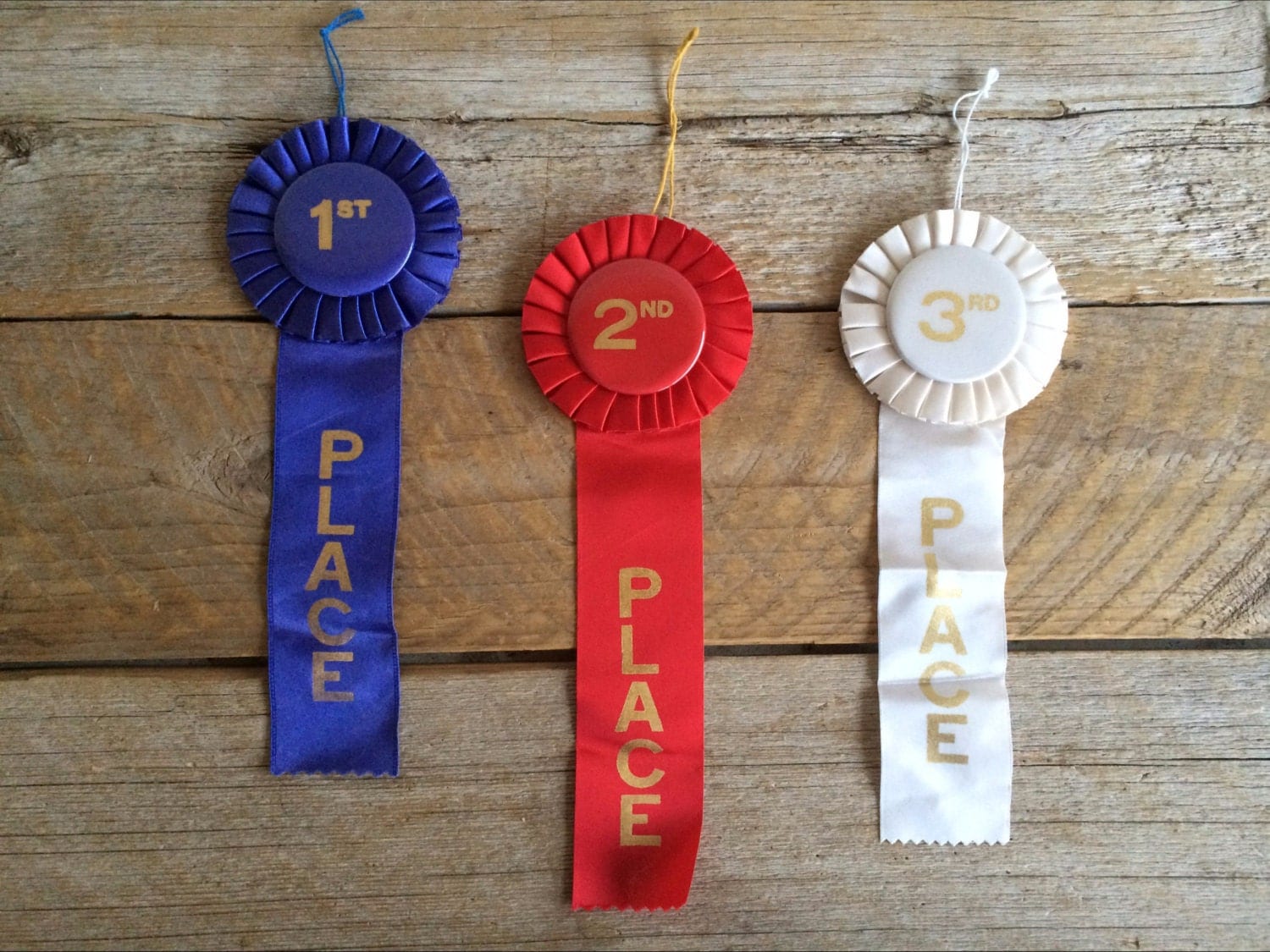 vintage-ribbon-set-first-place-second-place-by-vintagesilverlining