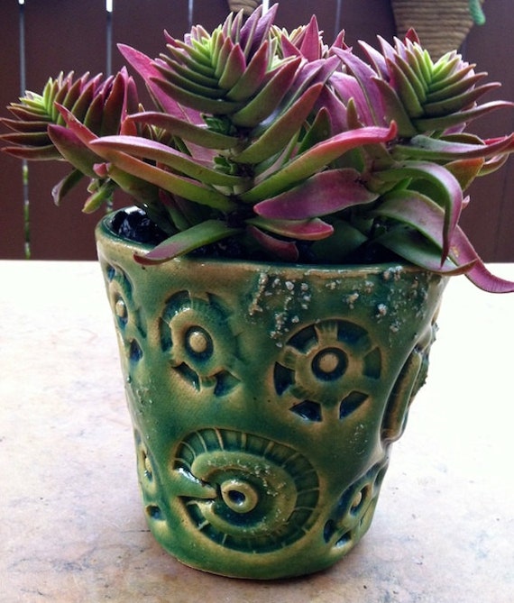 Hand Built Ceramic Planter