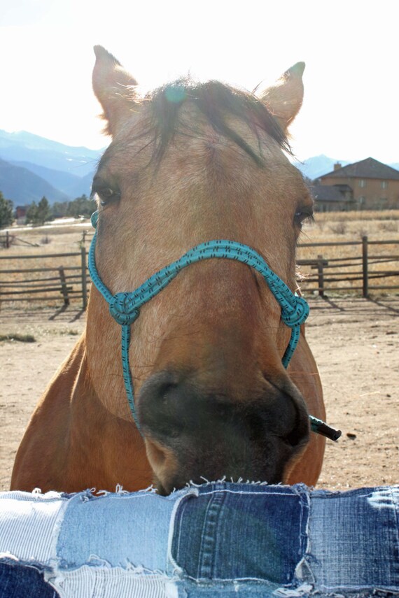 Items similar to Blue Jean Western Saddle Blanket horse reclaimed jeans