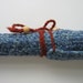 soprano treble recorder case