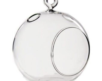 6" Glass Plant Orb/Terrarium